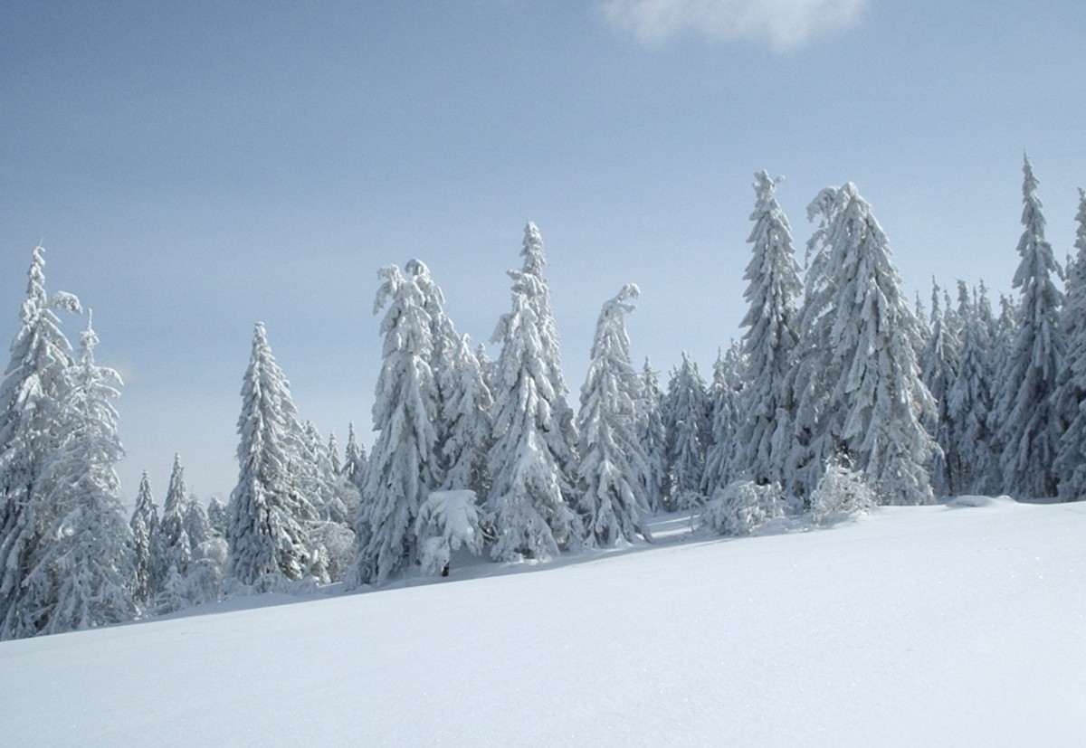 Winterlandschaft